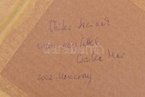 Csonka Mária (?-): Hegyvidéki táj. Olaj, karton, hátoldalán jelzett és ajándékozási sorokkal, fa ker...