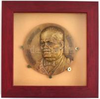 Kampfl József (1939-): "Batthyány - Strattmann László-Díj", Bronz emlékplakett, plexiüvege...