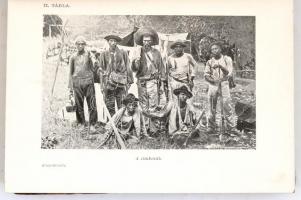[Steinen, Karl von den (1855-1929)]: dr. Steinen Károly: Közép-Brazília természeti népei között. A m...