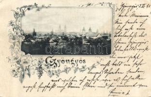 Gyöngyös látkép