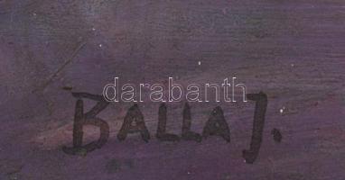 Balla J. jelzéssel: Virágcsendélet. Olaj, farost, jelzett, fa keretben, 56x52 cm