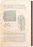 Margó Tivadar: A tudományos állattan kézikönyve. I. köt. Általános állattan. Első rész. 202 fametsze...