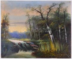 Neogrády jelzéssel: Vízesés. Olaj, vászon, sérült, 55x68,5 cm