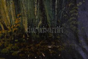 Neogrády jelzéssel: Vízesés. Olaj, vászon, sérült, 55x68,5 cm