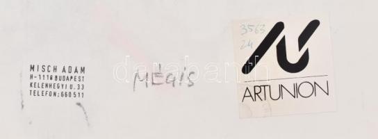 Misch Ádám (1935-1995): Mégis (1985 körül). Vegyes technika, papír, jelzett (Zsennye Misch) és a hát...