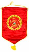 Szocialista Brigád asztali zászló, jó állapotban, 36×27 cm