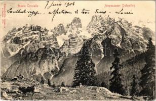 1904 Dolomiti, Dolomites; Ampezzaner Dolomiten / Monte Cristallo / mountain (crease)