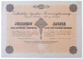 Budapest 1923. Gottschlig Ágoston Részvénytársaság részvénye 200K-ról szelvényekkel, szárazpecséttel T:II kis szakadások