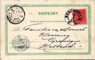 1898 Stockholm, Utsigt fran Katarinahissen / general view, Katarina passenger elevator. Axel Eliasso...