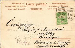 1909 Un ménage heureux / A happy household, birds. litho (EK)