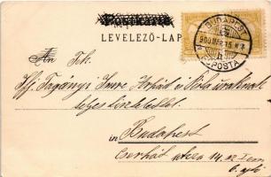 1900 Monkey with donkey, litho (EK)