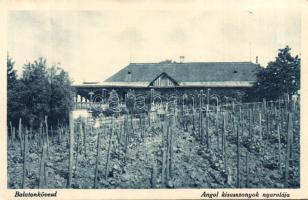 Balatonkövesd angol kisasszonyok nyaralója