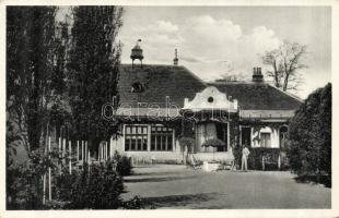 Ó-Gyalla Feszty house