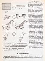 Örösi Pál Zoltán: Méhek között. Bp., 1968.,Mezőgazdasági Kiadó. Hetedik, bővített kiadás. Kiadói egé...