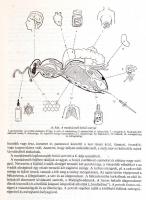 Örösi Pál Zoltán: Méhek között. Bp., 1968.,Mezőgazdasági Kiadó. Hetedik, bővített kiadás. Kiadói egé...