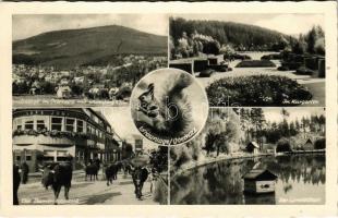 Braunlage im Oberharz, Im Kurgarten, Die Damenkapelle, Der Gondelteich / spa garden, Café Junker, street view with cattle, lake. Foto u. Verlag H. Kiesewetter (EK)