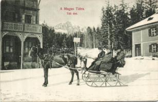 Magas Tátra hourse-drawn sledge