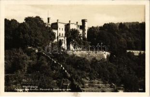 1928 Wolfsberg, Schloss des Grafen Henckel v. Donnersmark / castle. Verlag Franz Schilcher