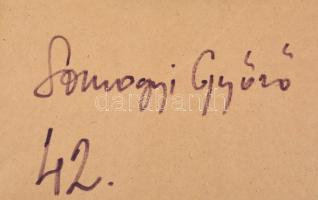 Somogyi Győző (1942-): Balatonfelvidék (Salföld környéke). Kréta, papír, jelzett a hátoldalán. Prove...