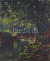 Olvashatatlan jelzéssel: Erdei patak. Olaj, vászon, kartonra kasírozva, 49×40 cm