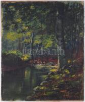 Olvashatatlan jelzéssel: Erdei patak. Olaj, vászon, kartonra kasírozva, 49×40 cm