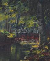 Olvashatatlan jelzéssel: Erdei patak. Olaj, vászon, kartonra kasírozva, 49×40 cm