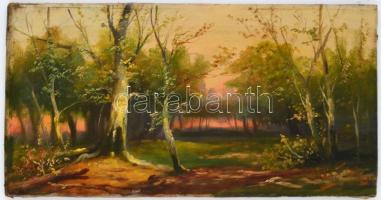 Bálint jelzéssel: Erdei naplemente. Olaj, vászon, restaurált, 32×63 cm