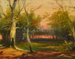 Bálint jelzéssel: Erdei naplemente. Olaj, vászon, restaurált, 32×63 cm