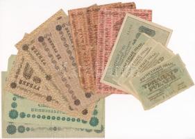 Oroszország / Szovjet-Oroszország 1918-1919. 15db bankjegy (7xklf) T:III-IV Russia / Soviet Russia 1918-1919. 15pcs of banknotes (7xdiff) C:F-G