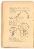 llés Nándor: A vadőr. Kézi tankönyv a m. kir. erdőőri szakiskolák számára. Darányi Ignácz m. kir. fö...