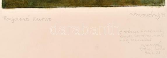 Vasvári József (1904-1993): Bujdosó kuruc. Színes rézkarc, papír, jelzett és datált (Vasvári 71), aj...