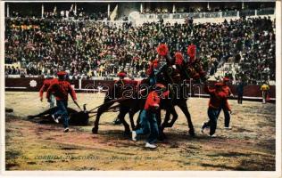 Corrida de Toros, Arrastre del toro / Spanish folklore, bullfight. L. Roisin (Barcelona)