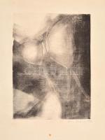 Orvos András (1939-): Virág, rézkarc, papír, jelzett és datált (Orvos András 1973), felcsavarva, lap közepén törésnyommal, 17,5 x 13 cm