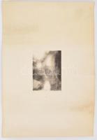 Orvos András (1939-): Virág, rézkarc, papír, jelzett és datált (Orvos András 1973), felcsavarva, lap...