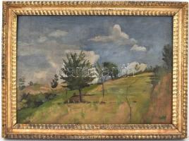 Farkas Béla (1895-1941): Zöldellő táj. Olaj, karton, jelzett, hátoldalán régi aukciós sorszám címkék...