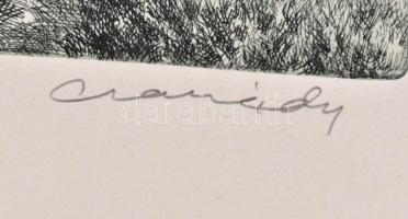 Csanády András (1929- ): Öreg kapu (Székelyföld), rézkarc, papír, jelzett, 19,5×29,5 cm