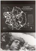 Tájékozódás a terepen + Felszabadulás II. rész, 2 db diafilm