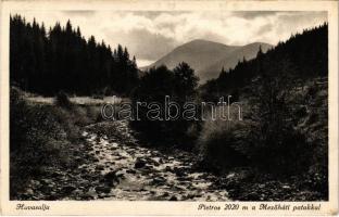 1940 Havasalja, Tibava; Pietros a Mezőháti patakkal / mountain, creek (EK)