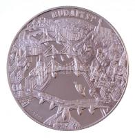 Bognár György (1944-) DN "Budai Várpalota" Budapest nevezetességei sorozat, Ag emlékérem d...