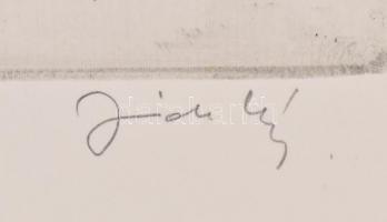 Olvashatatlan jelzéssel: Luxemburgi Zsigmond magyar király, rézkarc, papír, jelzett, 39,5×29 cm