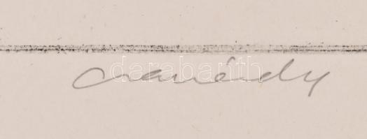 Csanády jelzéssel: Szapolyai János, rézkarc, papír, jelzett, 39×29 cm