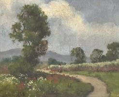 Datsinka jelzéssel, 2 db mű: Virágzó táj és Házak. Olaj, karton, díszes, kissé sérült keretben, 21,5...