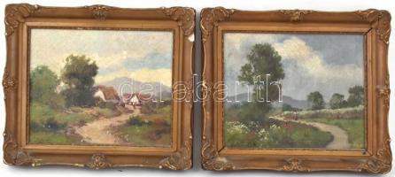 Datsinka jelzéssel, 2 db mű: Virágzó táj és Házak. Olaj, karton, díszes, kissé sérült keretben, 21,5...