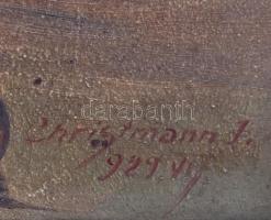 Christmann J 929 jelzéssel: Vitorlások. Olaj, karton,  sérült fa keretben, 22,5×40 cm
