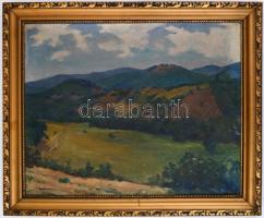 Winter (?) jelzéssel: hegyvidéki táj. Olaj, vászon, javított sérüléssel (szakadással), 50×60 cm