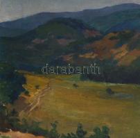 Winter (?) jelzéssel: hegyvidéki táj. Olaj, vászon, javított sérüléssel (szakadással), 50×60 cm