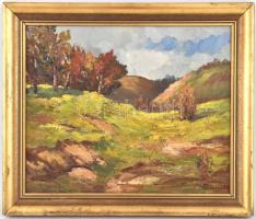 Pallagi Tamás (?-): Őszi táj. Miskolc környéke. Olaj, farost, fa keretben, 33x40 cm