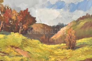 Pallagi Tamás (?-): Őszi táj. Miskolc környéke. Olaj, farost, fa keretben, 33x40 cm