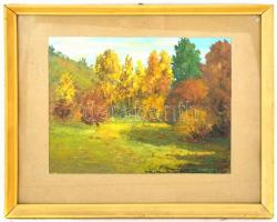 Pallagi Tamás (?-): Ősz Lillafüreden. Olaj, farost, üvegezett fa keretben, hátoldalán a művész autog...