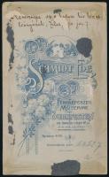 Kincs Gyula (1859-1915) református főgimnáziumi tanár, sajtótörténész, helytörténész, újságíró, Ady ...
